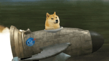 Doge meme riding a rocket